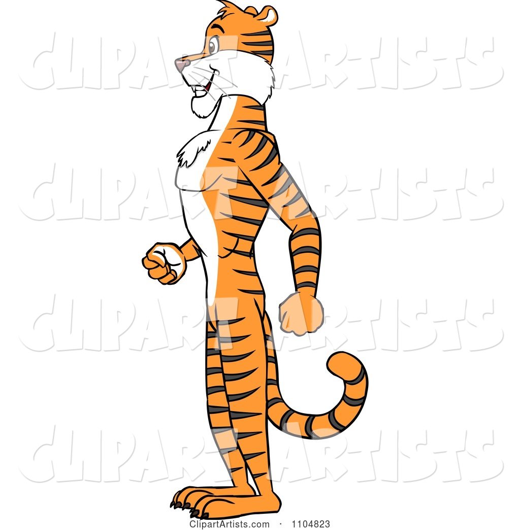 1024x1044 Happy Tiger In Profile Standing Upright Clipart