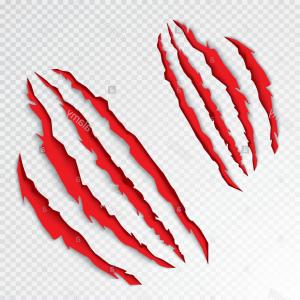 300x300 Stock Photo Animal Claws Scratching Vector Illustration Tiger