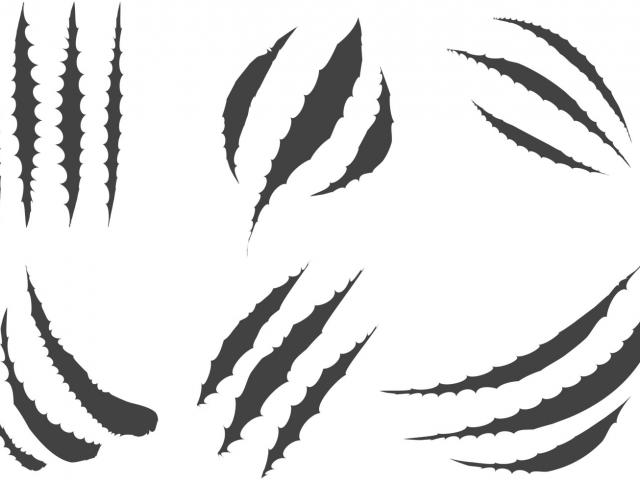 640x480 Tiger Scratch Vector
