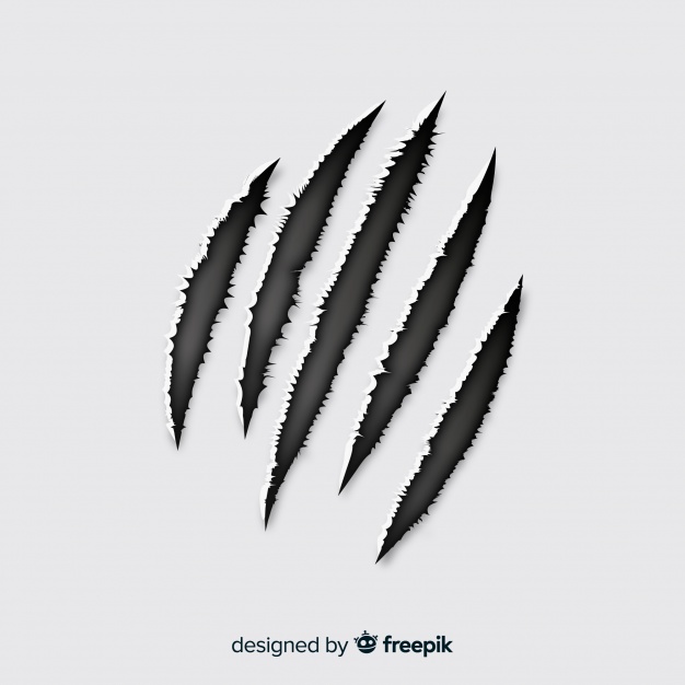 626x626 Tiger Scratch Vector Free Download
