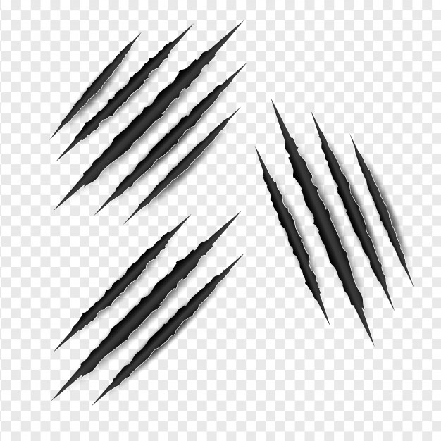 626x626 Claw Vectors, Photos And Free Download