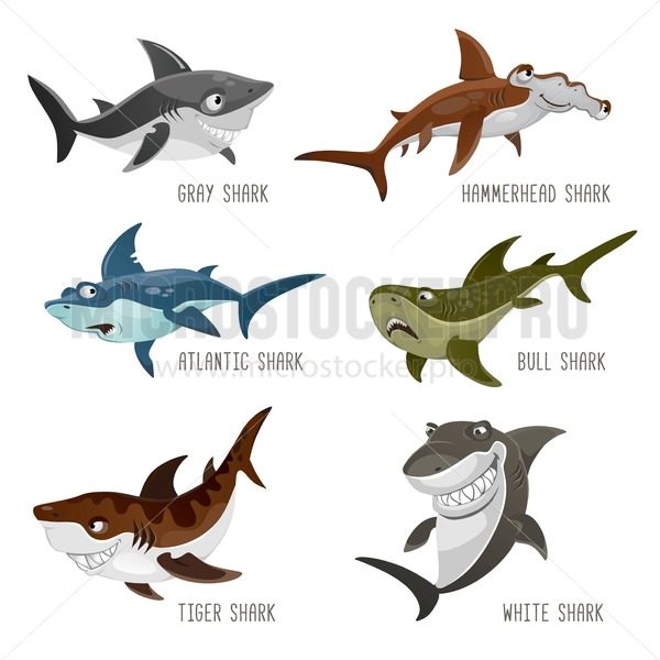 600x600 Set Of Cartoon Sharks With Different Emotions Isolated On White