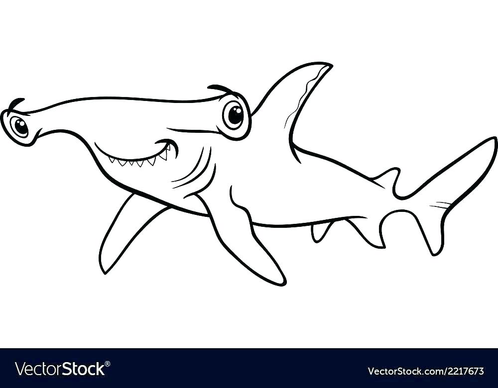 1000x780 Shark Coloring Sheet Tiger Shark Coloring Pages Free Hammerhead