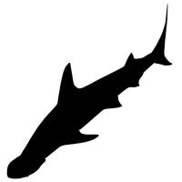 200x200 Tiger Shark Free Vector Art