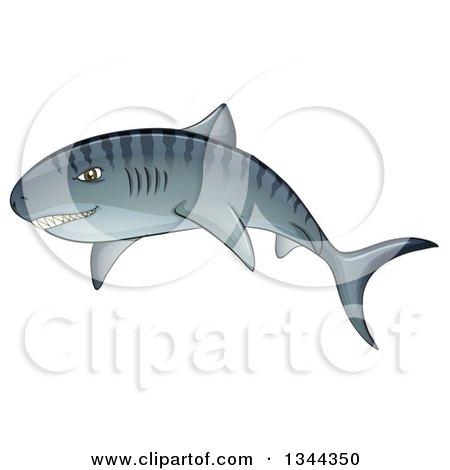 450x470 Clipart Of A Swimming Tiger Shark