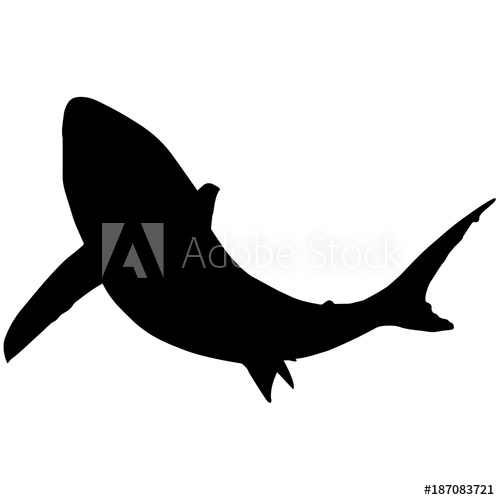 500x500 Tiger Shark Silhouette Vector Graphics