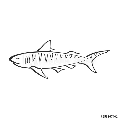 500x500 Tiger Shark Character Abstract Ink Hand Drawn Vector Logo Cartoon