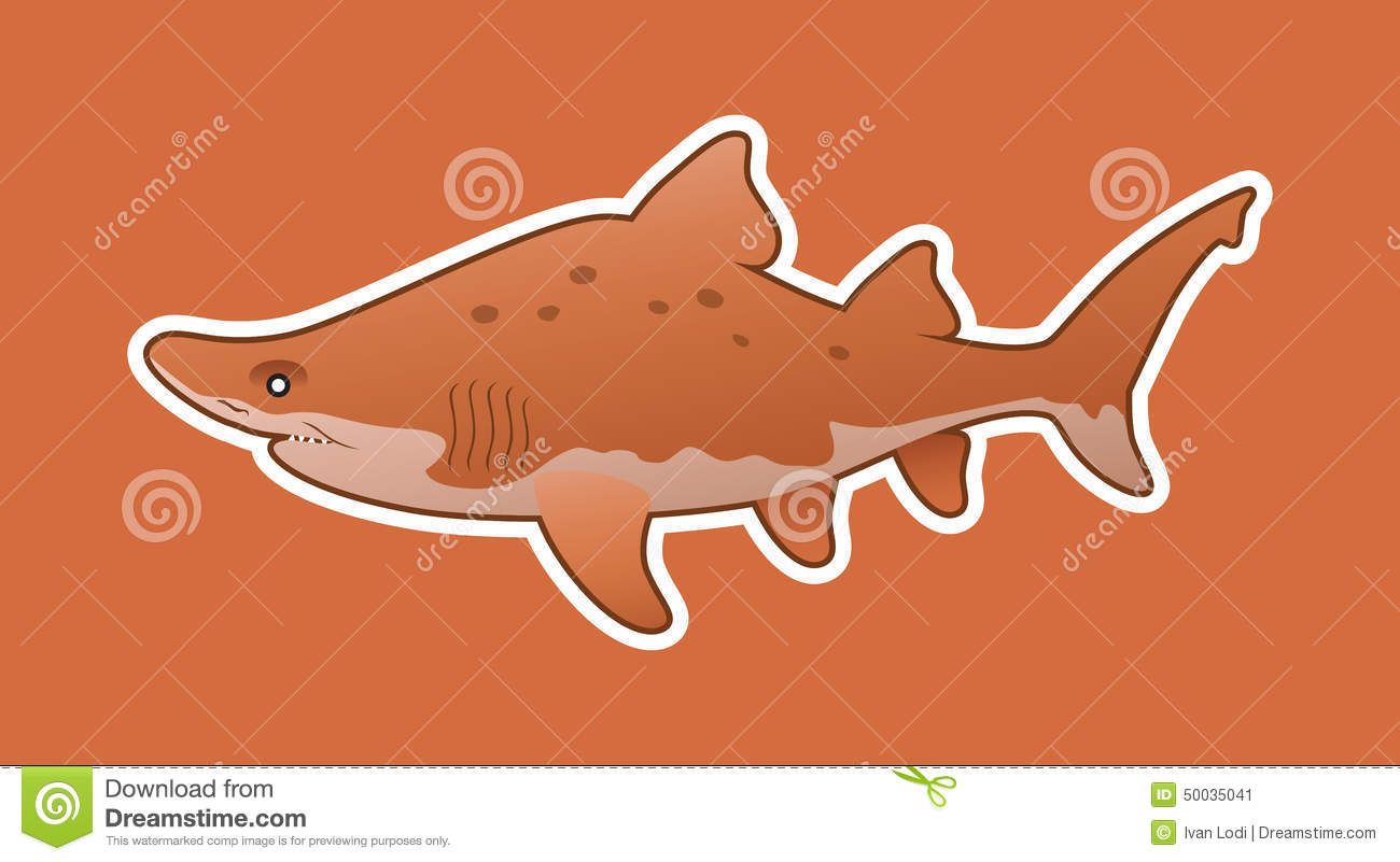 1300x801 Funny Sand Tiger Shark Illustration Vector Available