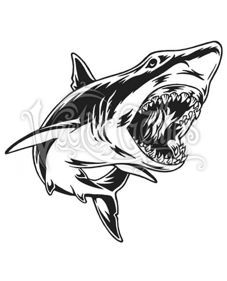 468x580 Great White Shark Attack Clip Art
