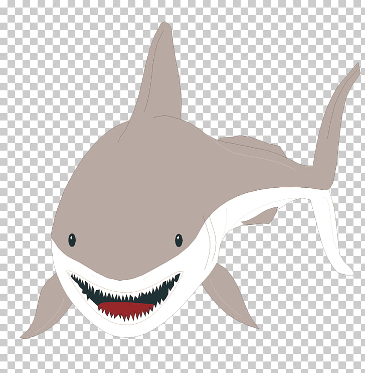 728x743 Great White Shark Bull Shark Tiger Shark Material Png Clipart