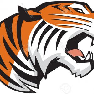 Tiger Head Vector Logo Concept Illustration Catchsplace 300x300 Tiger Head Vector Logo Concept Illustration Catchsplace