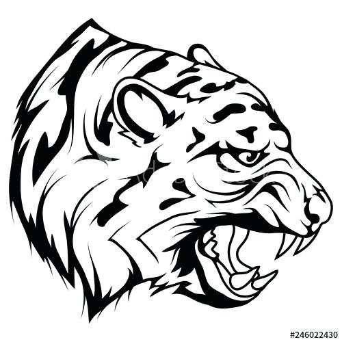 Tiger Side View Vector at Vectorified.com | Collection of Tiger Side ...