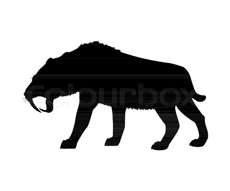 800x667 Saber Toothed Tiger Silhouette Extinct Stock Vector Colourbox