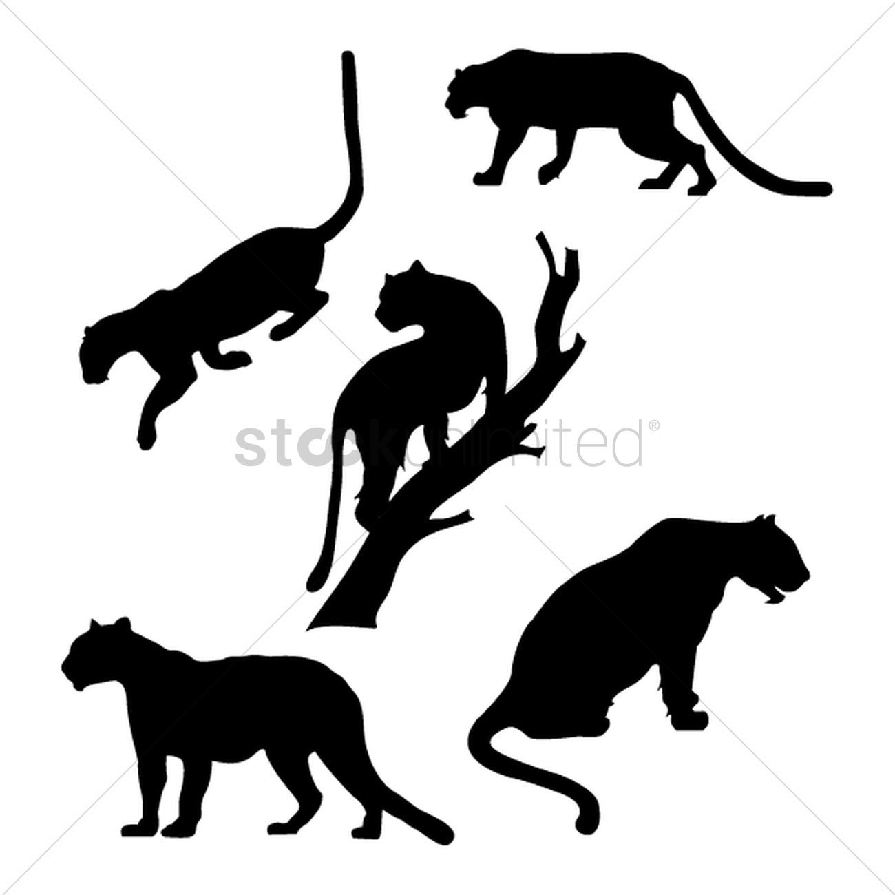 1300x1300 Set Of Tiger Silhouettes Vector Image