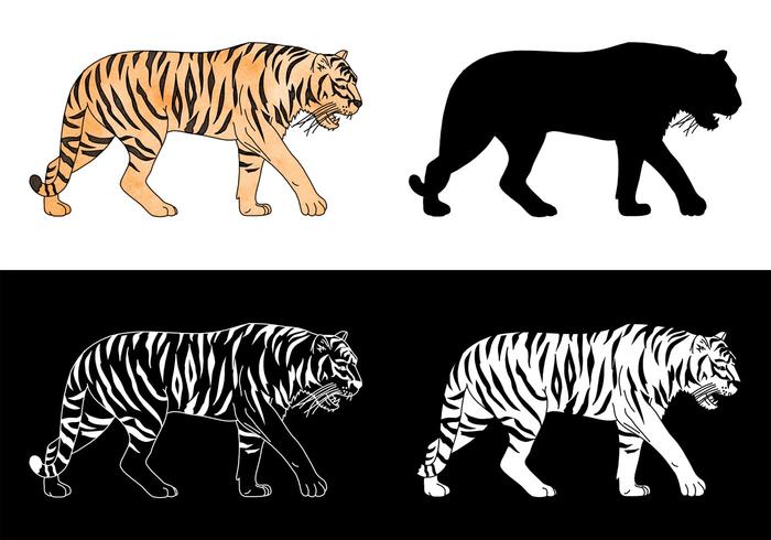 700x490 Tiger Free Vector Art