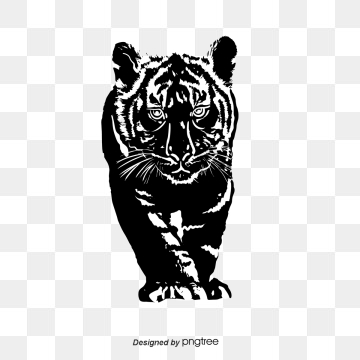360x360 Tiger Silhouette Png, Vector, And Clipart With Transparent