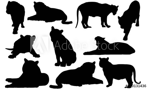 500x300 Tiger Silhouette Vector Graphics