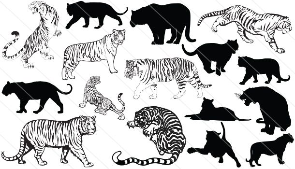 610x350 Tiger Silhouette Vector Graphics Silhouette Clip Art Tiger