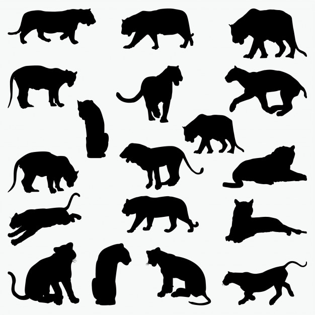 Download Tiger Silhouette Vector at Vectorified.com | Collection of Tiger Silhouette Vector free for ...