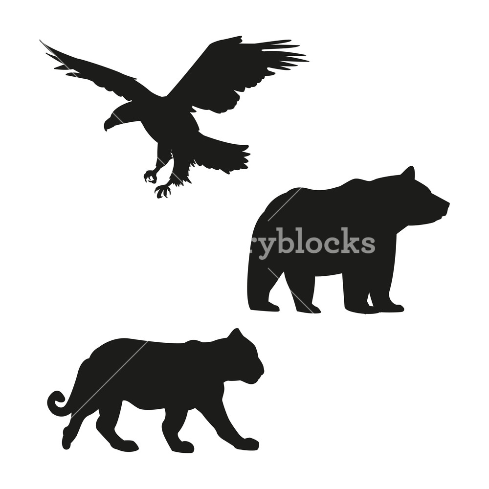 1000x1000 Eagle, Bear And Tiger Black Silhouette Vector Illustration Graphic