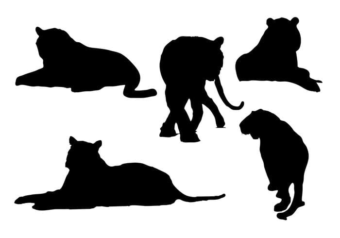 700x490 Free Tiger Silhouettes Vector Free Graphics Uihere