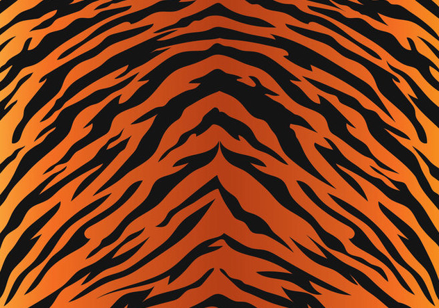 632x443 Tiger Stripe Pattern Free Vector Download Cannypic