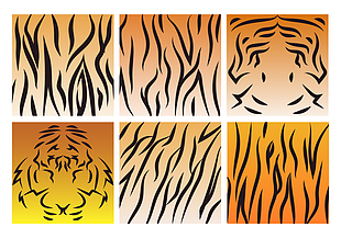 310x217 Tiger Stripe Pattern Free Graphics Uihere