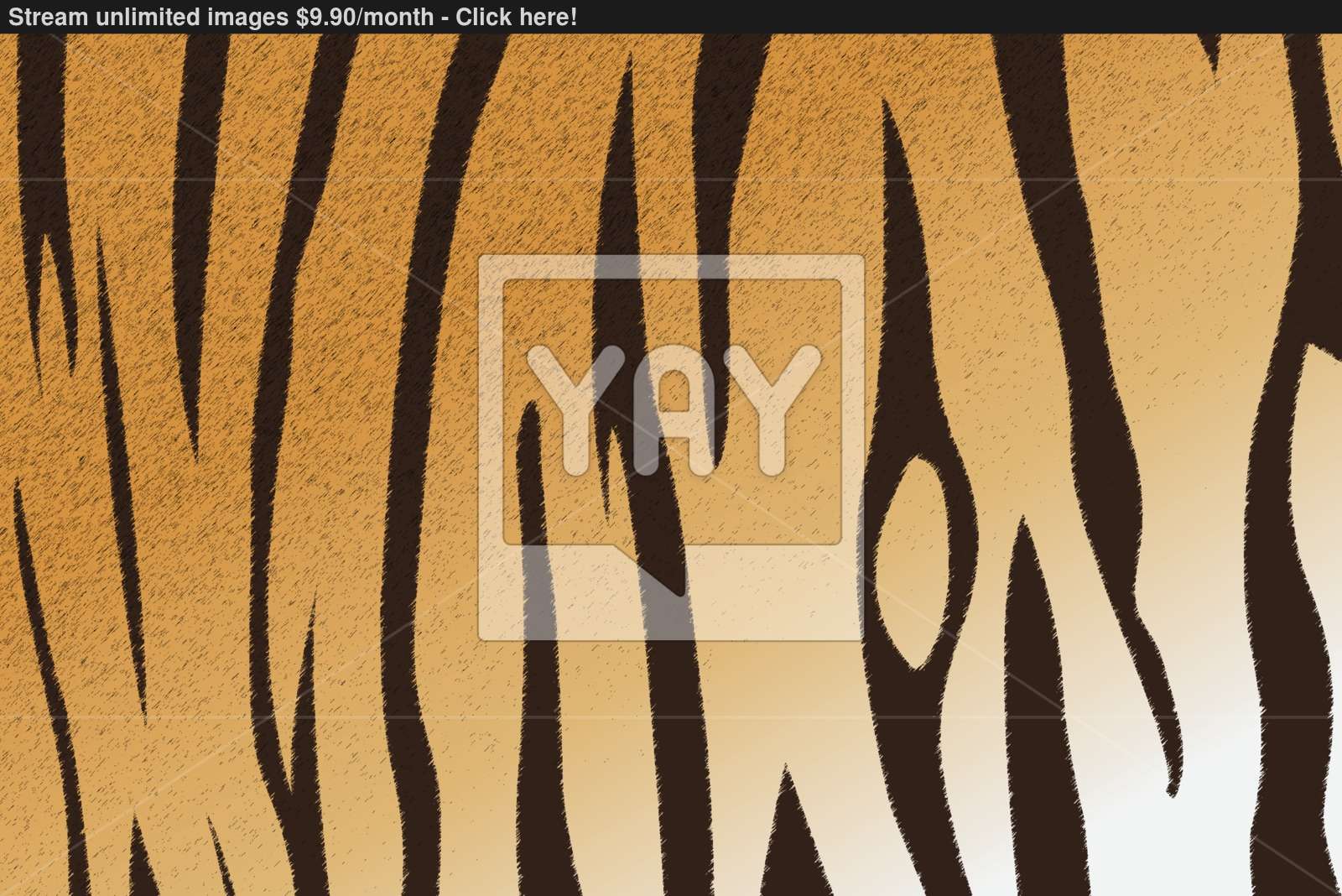 1600x1068 Bengal Tiger Stripe Pattern Vector