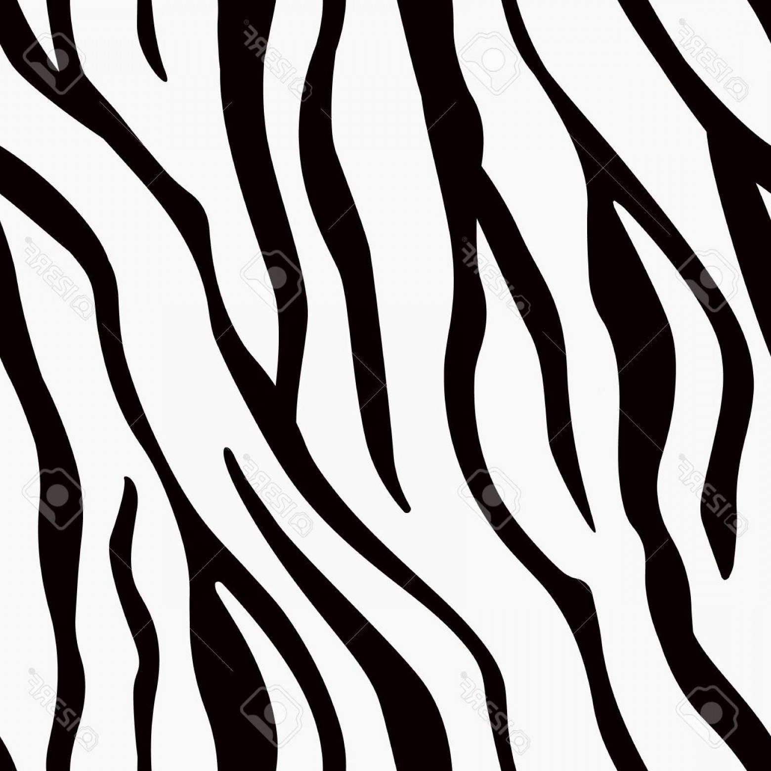 1560x1560 Photostock Vector Zebra Stripes Seamless Pattern Zebra Print