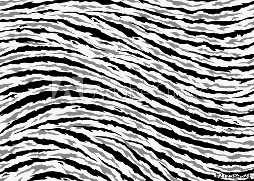 Tiger Stripes Vector