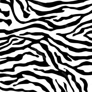 300x300 Photostock Vector Seamless Tiger Stripe Pattern Newwaysys