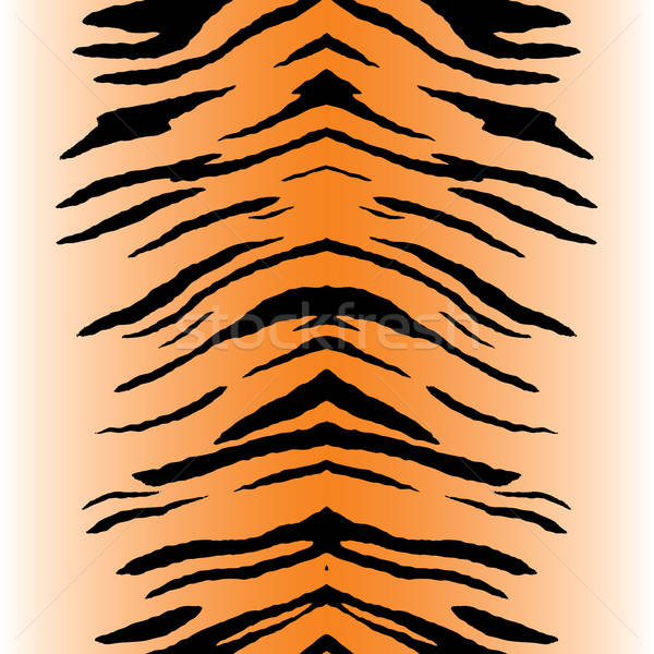 600x600 Tiger Stripes Vector Vector Illustration Todd Arena