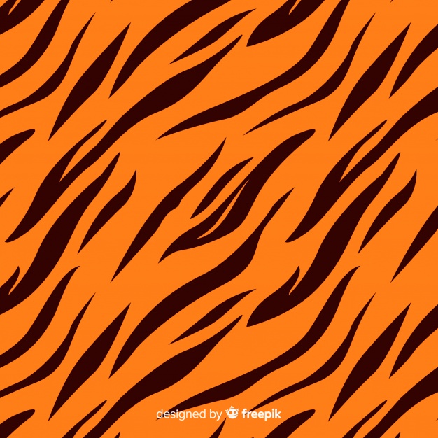 626x626 Tiger Stripes Background Vector Free Download