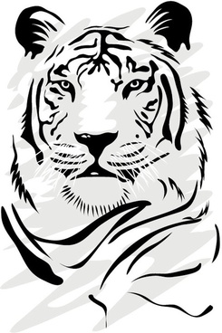 245x368 Tiger Stripes Free Vector Download