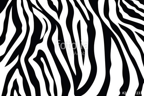 500x334 Zebra Stripes Pattern Zebra Print, Animal Skin, Tiger Stripes
