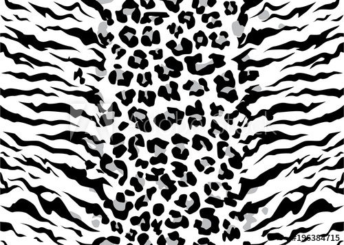 500x357 Leopard Tiger Jaguar Texture Abstract Background Vector Jungle
