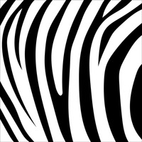 200x200 Background Backgrounds Pattern Patterns Abstract White Tiger