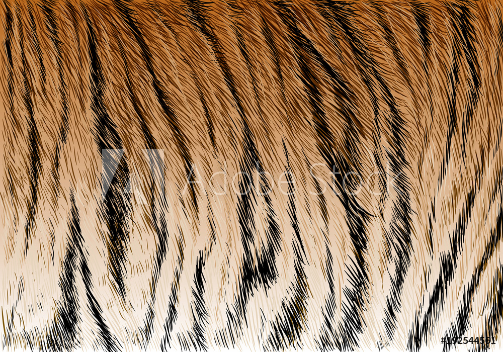 1000x700 Photo Art Print Tiger Fur Stripe Pattern Background Texture