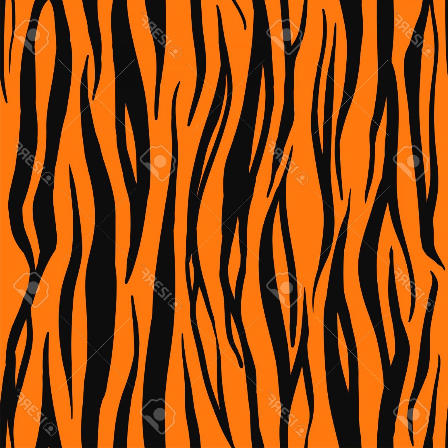 1560x1560 Tiger Motif Prints Vectors Lamaison
