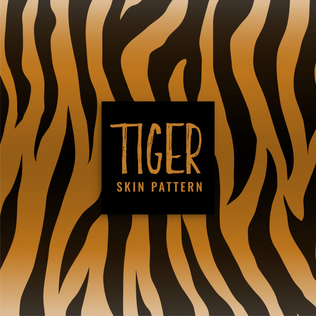 626x626 Tiger Skin Texture Print Pattern Vector Free Download