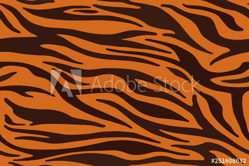 500x334 Tiger Stripes Pattern, Animal Skin, Line Background Vector