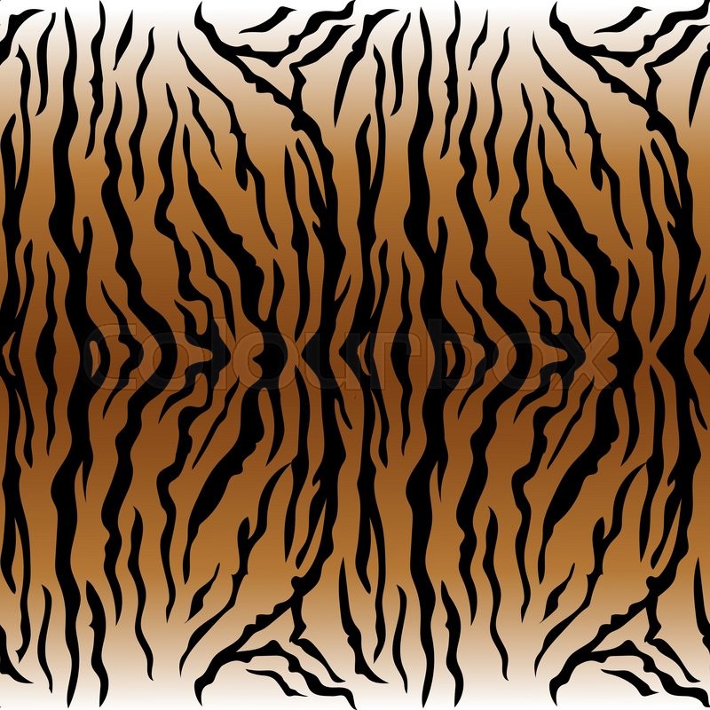 800x800 Animal Print, Tiger Texture Seamless Stock Vector Colourbox