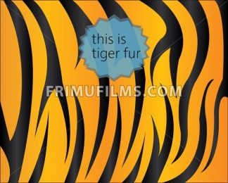 324x260 Big Tiger Fur Texture, Digital Vector Image Frimufilms
