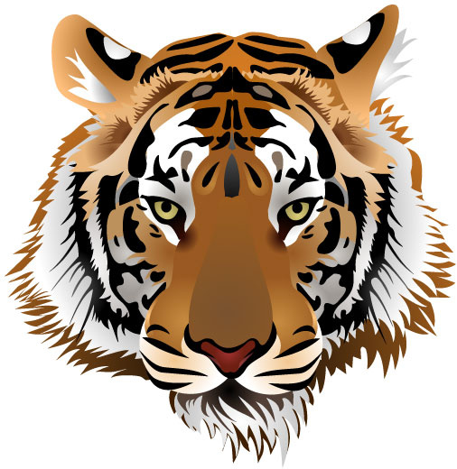 Set Of Tiger Vector Picture Art Free Vector In Encapsulated 506x520 Set Of Tiger Vector Picture Art Free Vector In Encapsulated