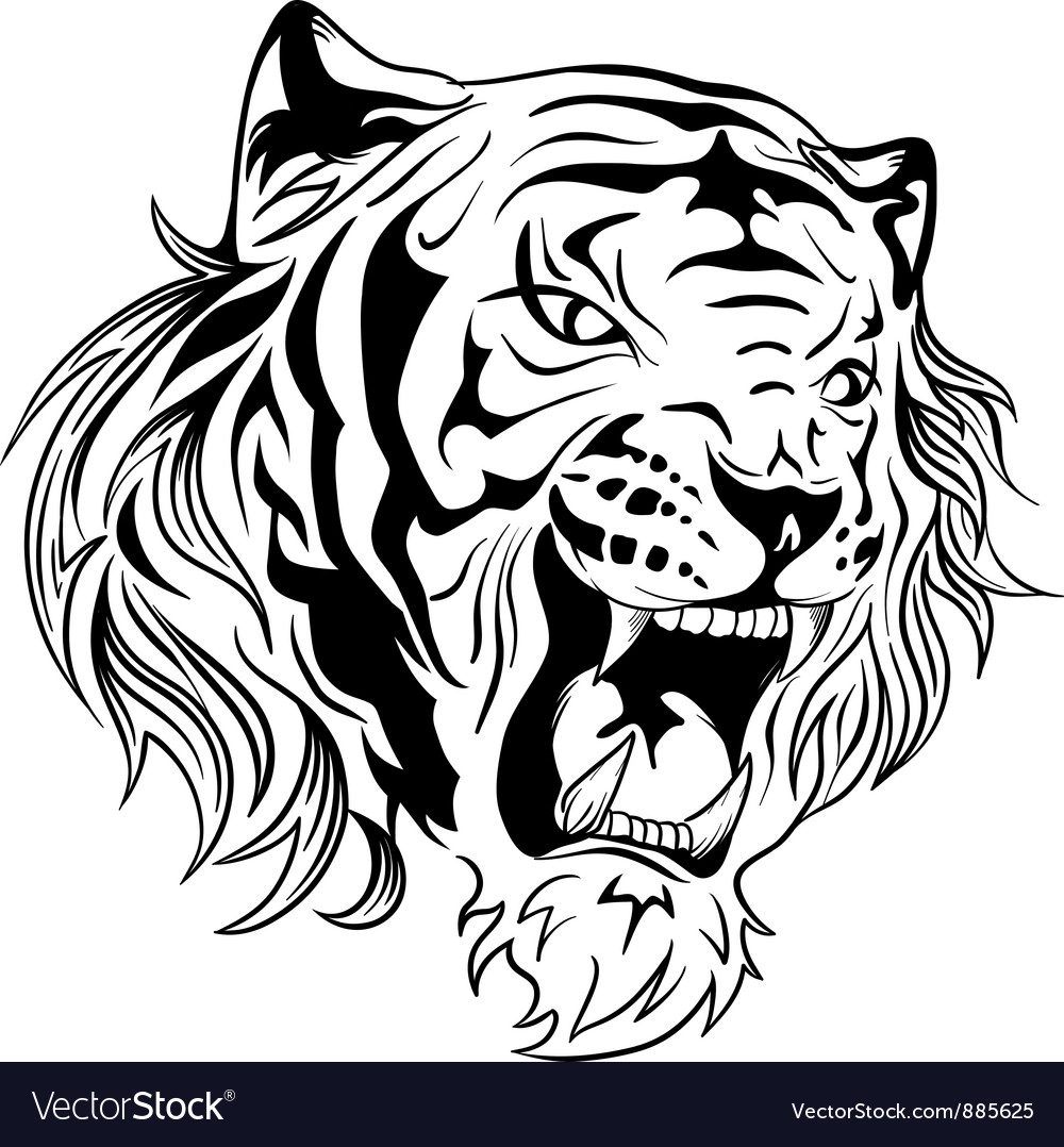 Tiger Vector 1000x1078 Tiger Vector