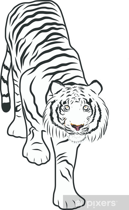 Hand Drawn Tiger Vector Wall Mural 430x700 Hand Drawn Tiger Vector Wall Mural