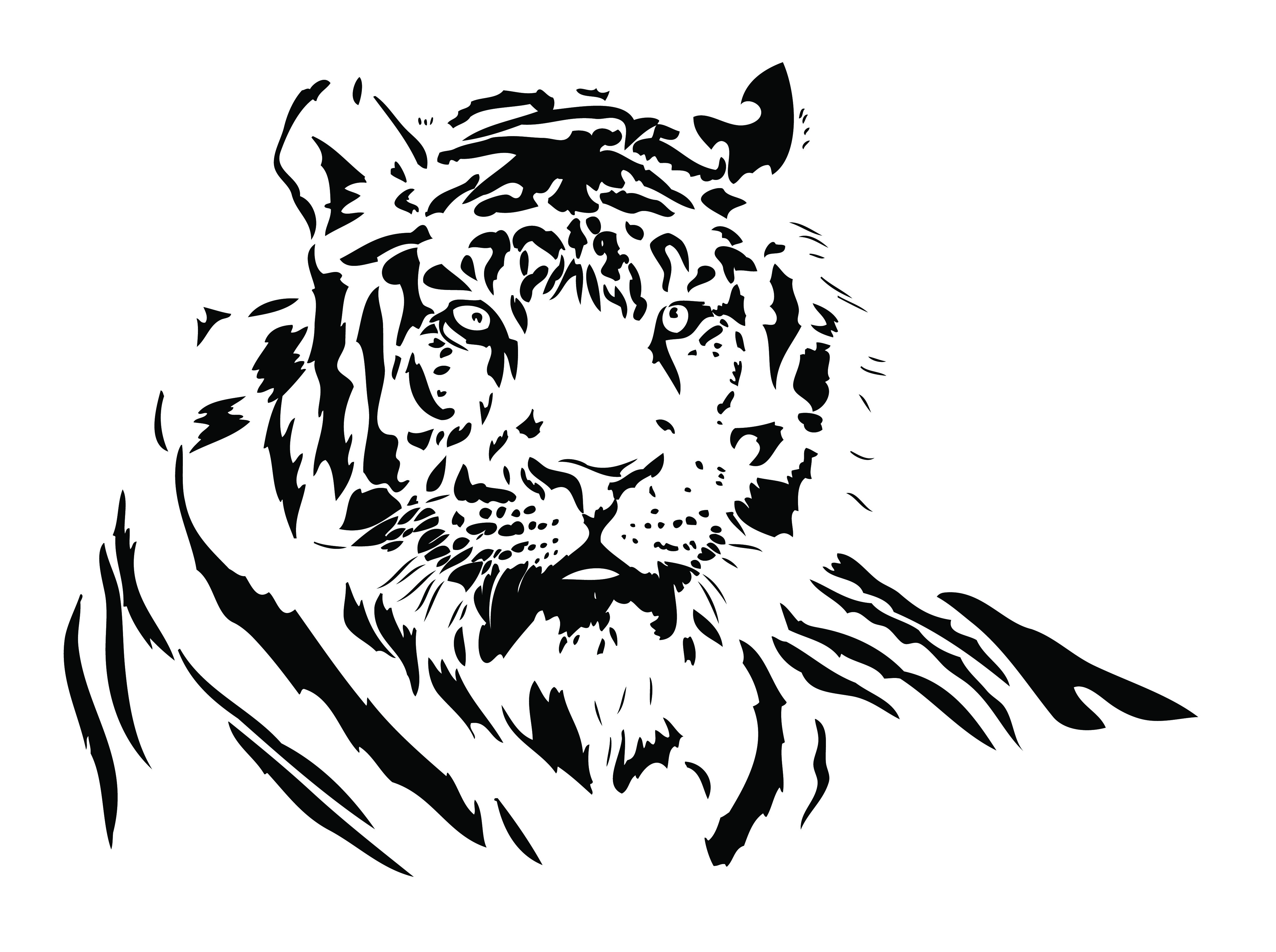 Simple Tiger Drawing At Explore Collection Of