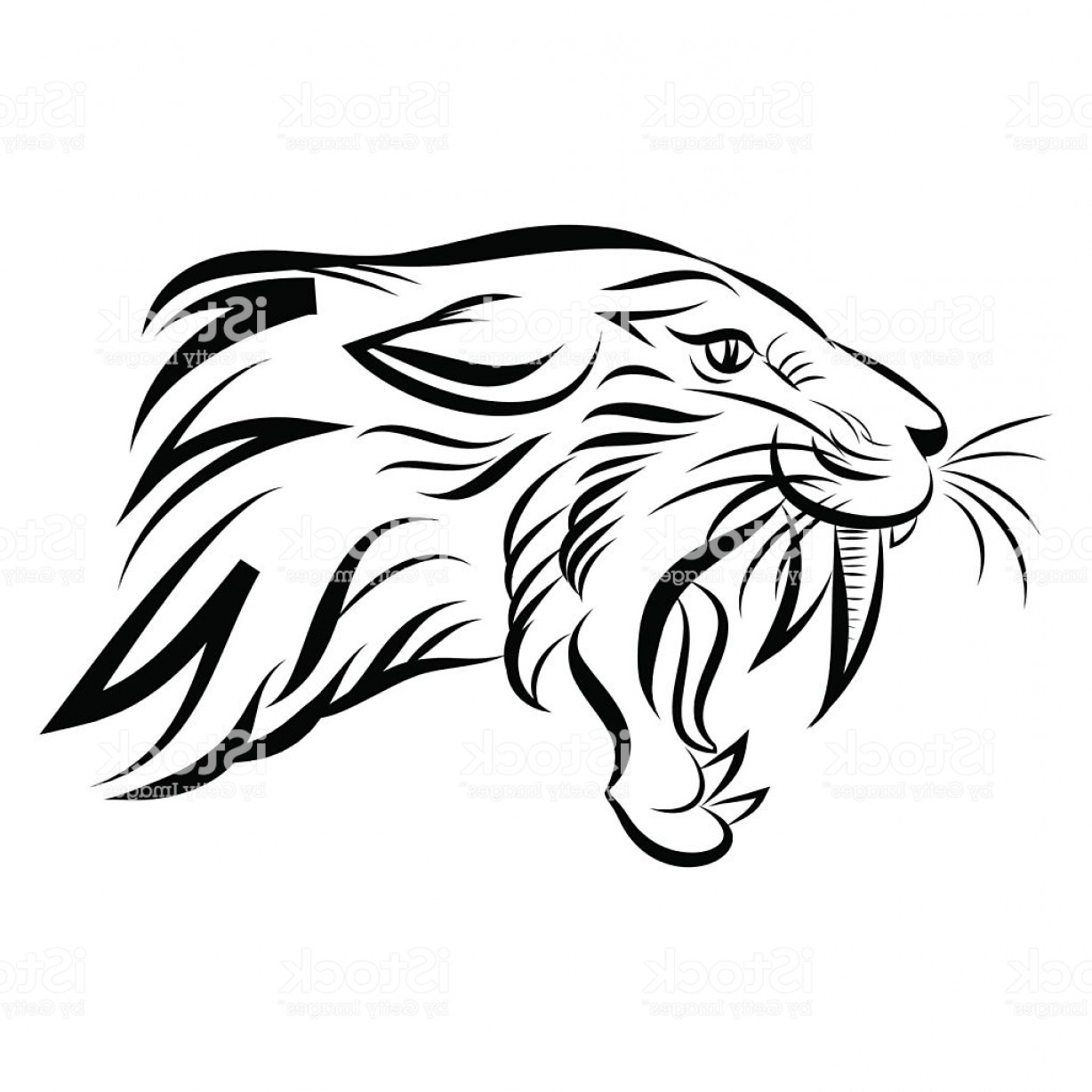 1228x1228 Isolated Head Of Saber Tooth Tiger Vector Gm Soidergi