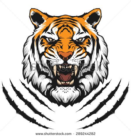 450x470 Tiger Face Stock Vectors Vector Clip Art Shutterstock