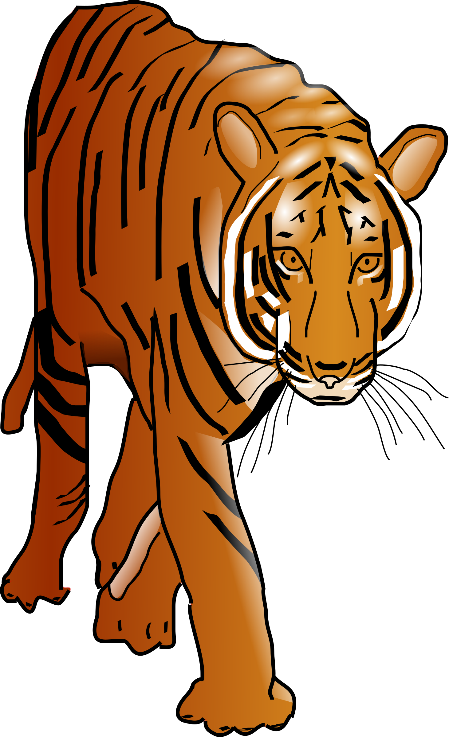 1461x2400 Tiger Vector Art Image